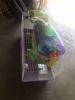 Case for guinea pig or little pet