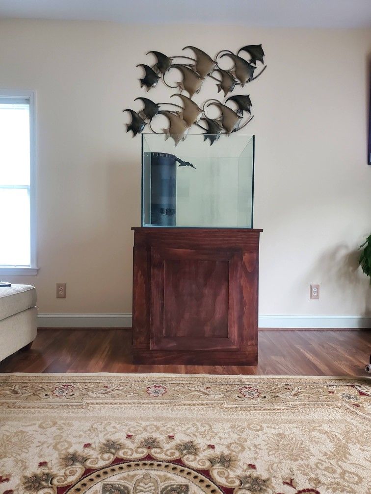 Unique 92 Gallon Rimless Matineland Aquarium