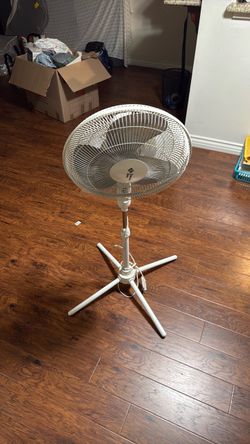 Fan