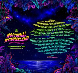Nocturnal wonderland 2026 vip wrist band