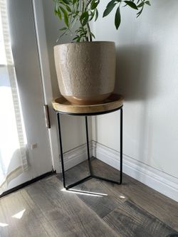 Two Iron And Wood Plant Stands