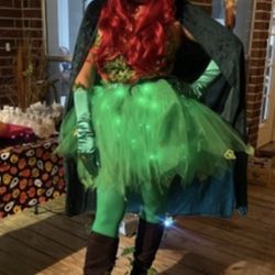 Poison Ivy & Riddler Costume 