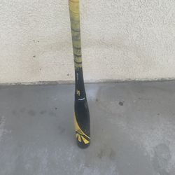 Easton Bat