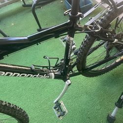 Cannondale Terra Mountain Bike 2002-2004