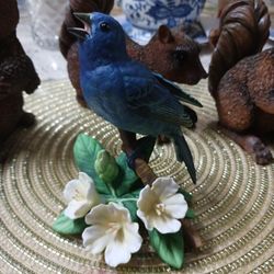Pajaro $20