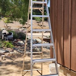 Husky 8ft Step Ladder 250lb Capacity 