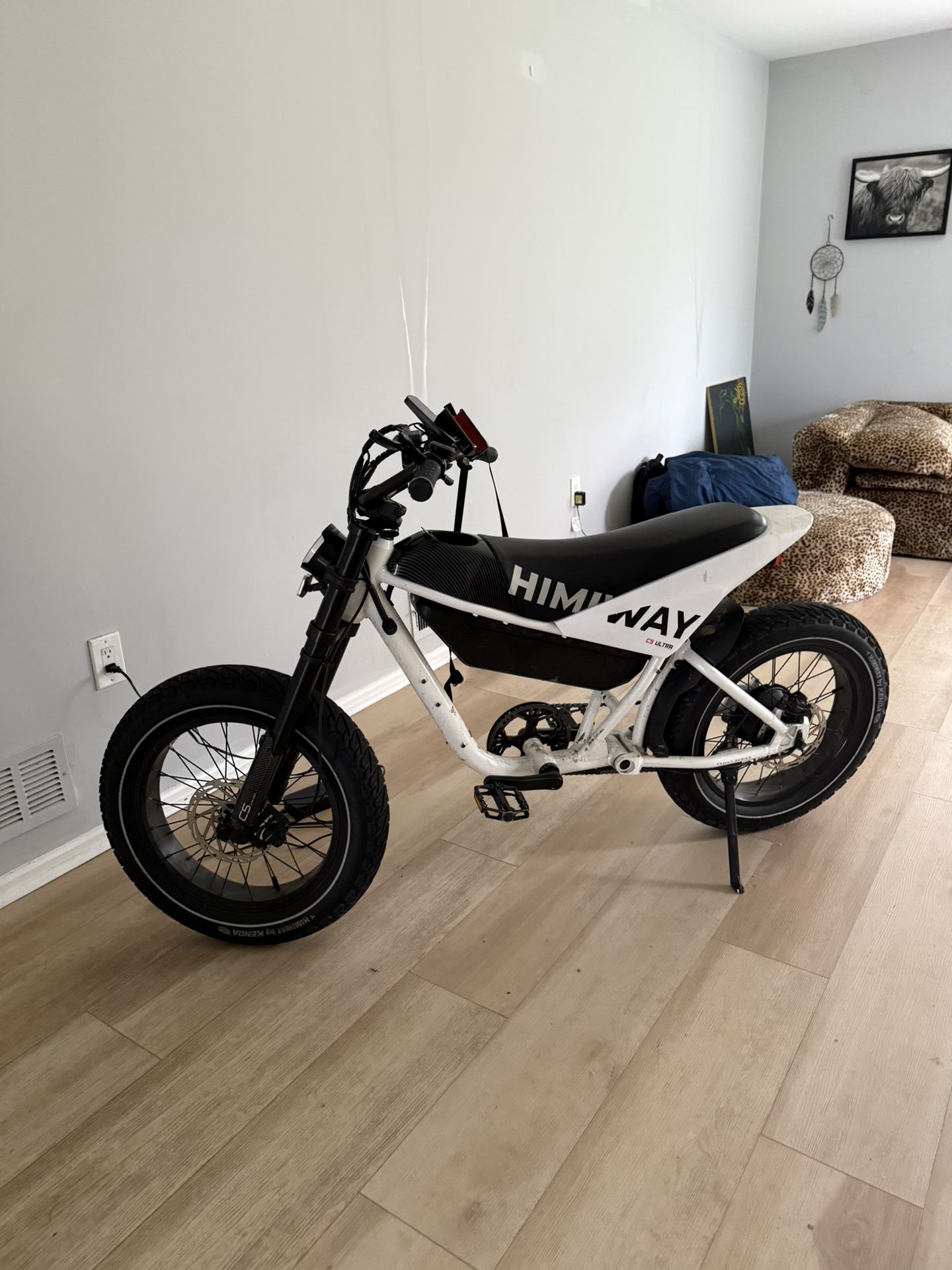 Electric Bike