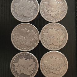 Morgan Silver Dollars
