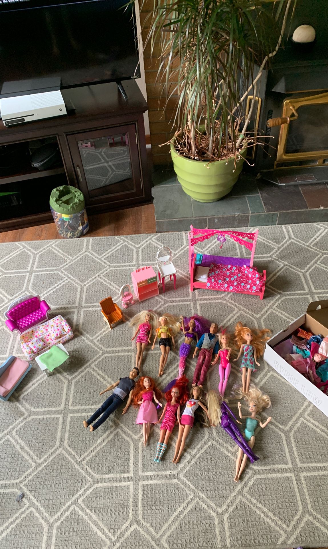 Barbie Collection for sale