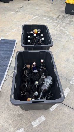 Beer growlers $20 for all