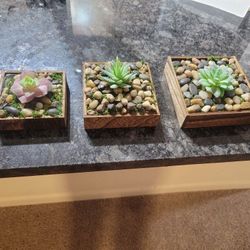 Wooden Flower Trays