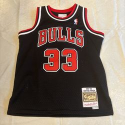 Bulls scottie pipen jersey