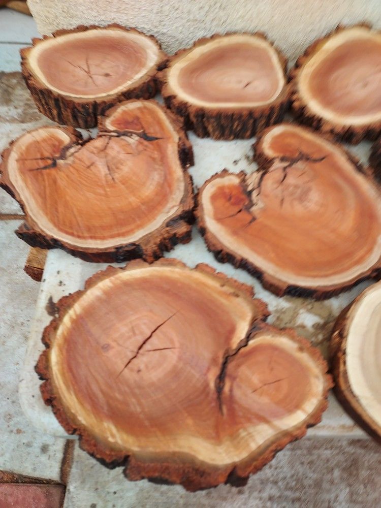 WOOD SLICES.......