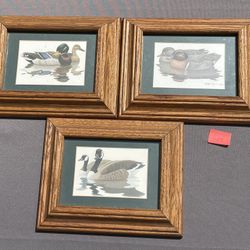 Set Of 3 Mallard Duck Prints In 5” X 7” Wood Frames