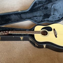 Austin Guitar 
