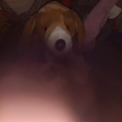 Beagle Stuffed Animal 