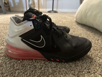 Nike Lebron 18, “heart Of A Lion”