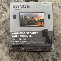 Wireless Speaker Wall Mount