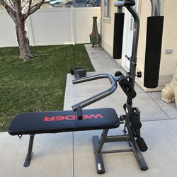 weider chest and legs work out 