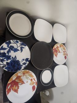 Dinner plates