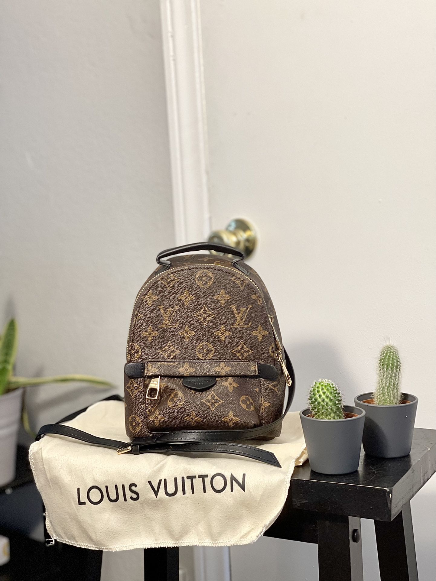 Louis Vuitton Bag No Dust Bag. for Sale in Las Vegas, NV - OfferUp
