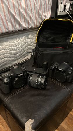 Canon 70d & 77d