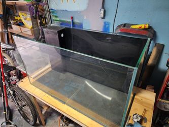Rimless Glass Saltwater Setup. 55-65 Gallon With Filter Tank