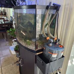 Invented Fish Tank Complete System 