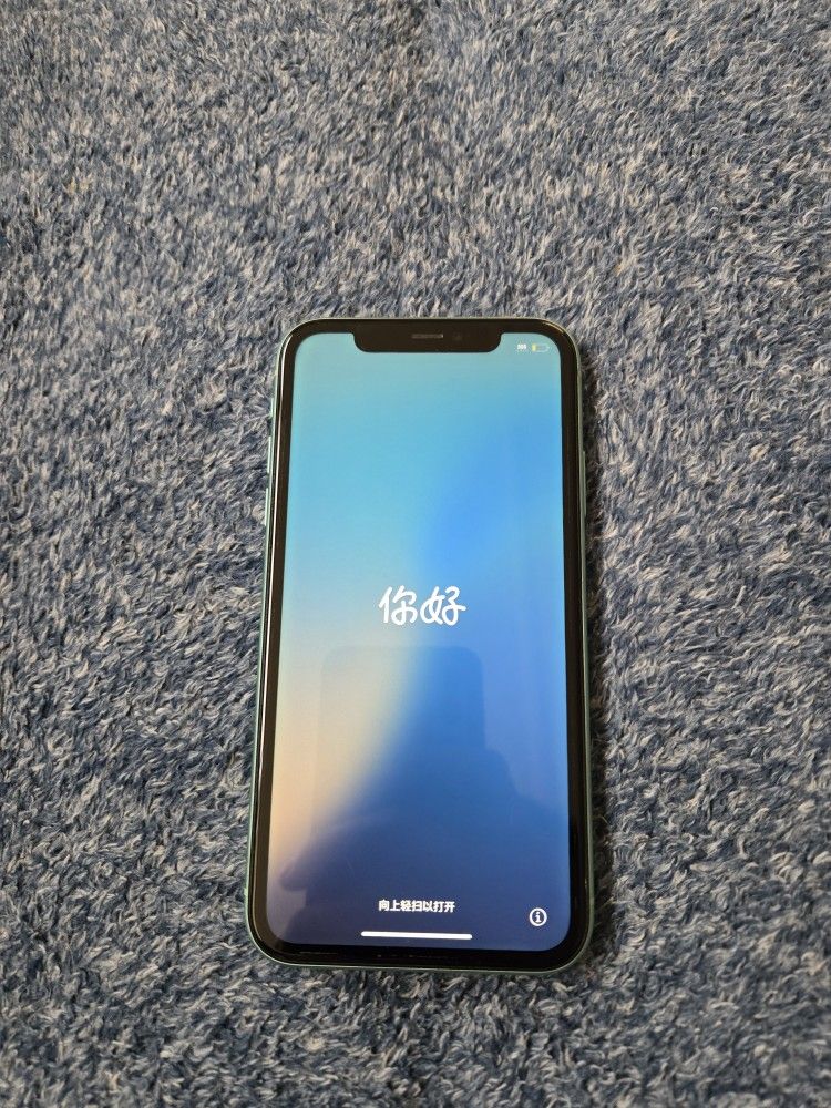 Iphone 11 (Mint Green)