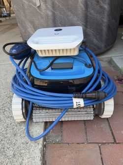 Dolphin pool robot
