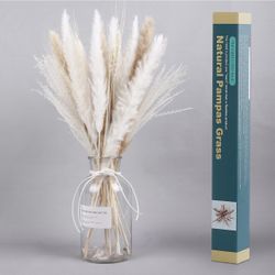 Pampas Grass, 35PCS 17.5"