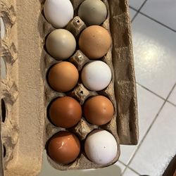 Organic Eggs 