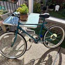 Road Master chrome Edition Bike 