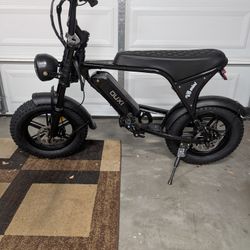 Ouxi E bike 