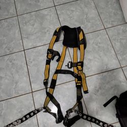 Safety Harness