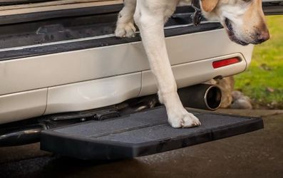 Pet Step for Car / Dog Step