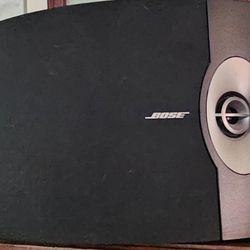 Bose Light Cherry Speakers 301v