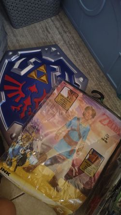 Zelda costume