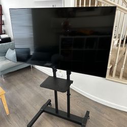 Portable TV Stand