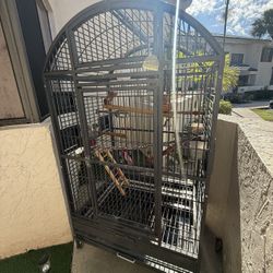 Big Bird Cage , Jaula De Pájaros Grandes 