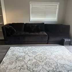 2 Piece Sofa, Black Velvet