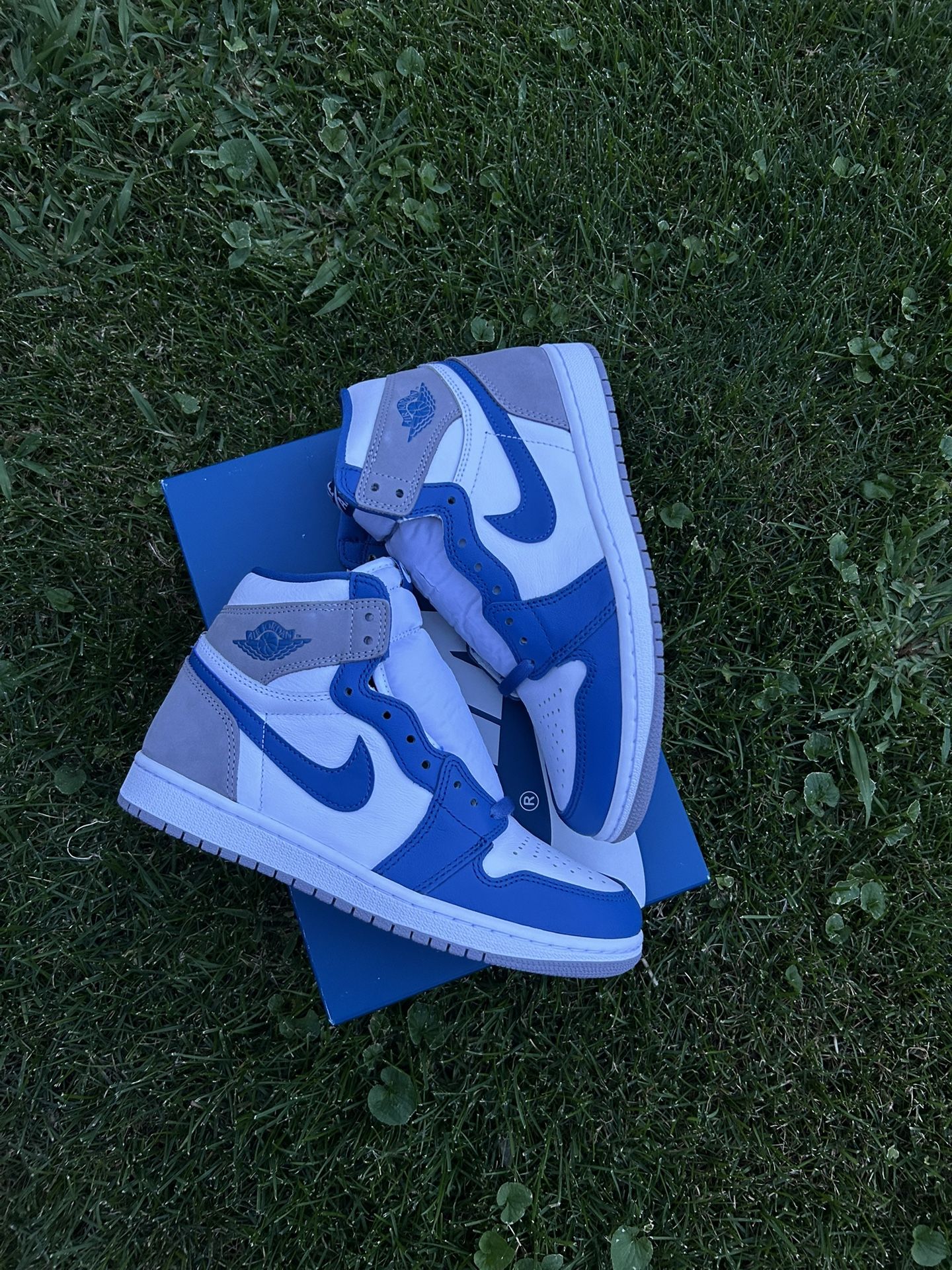 DS Jordan 1 High True Blue
