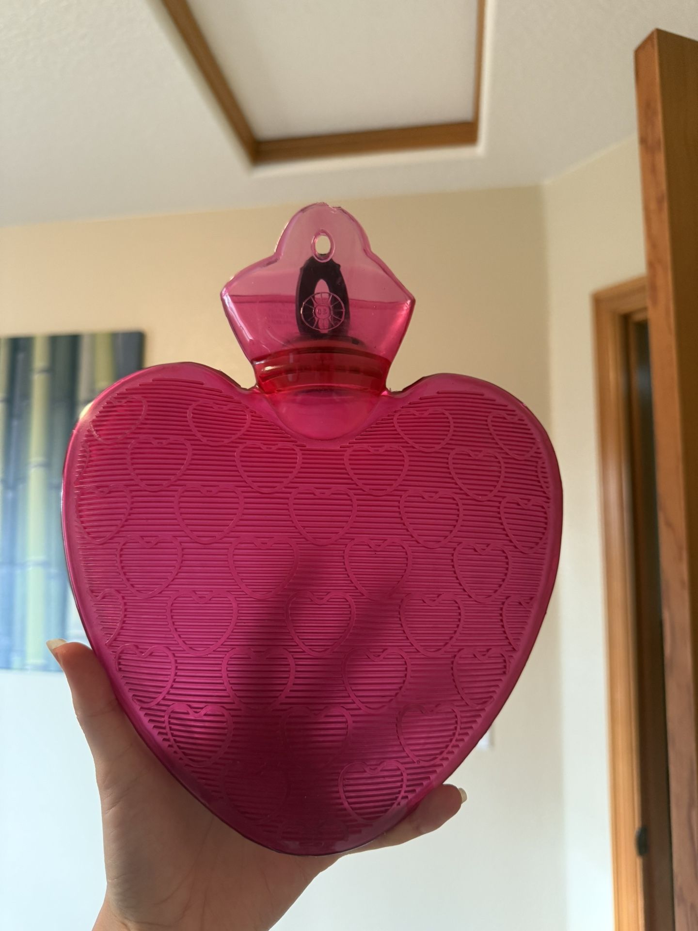 Hot Water Bottle