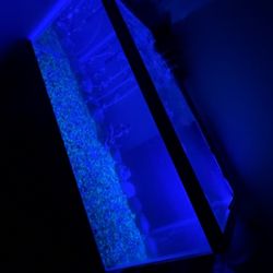 40 Gallon Fish Tank 🐟🎣