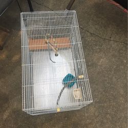Bird Cage 
