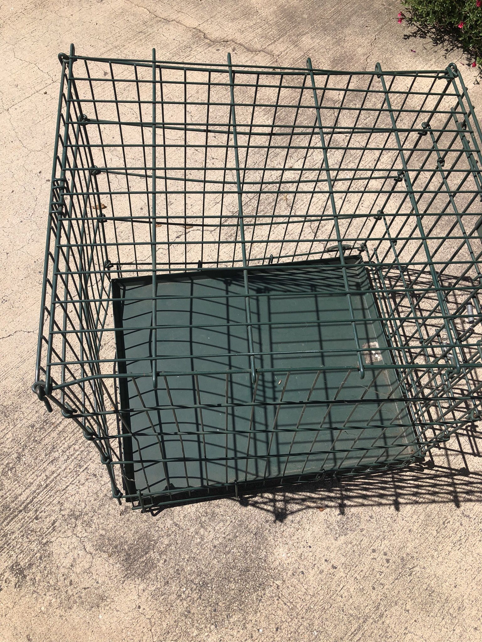 Dog Crate
