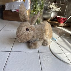 Plush Bunny