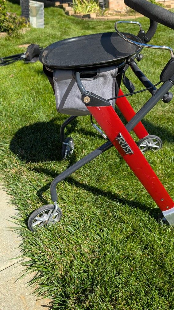Lightweight Streamline Walker