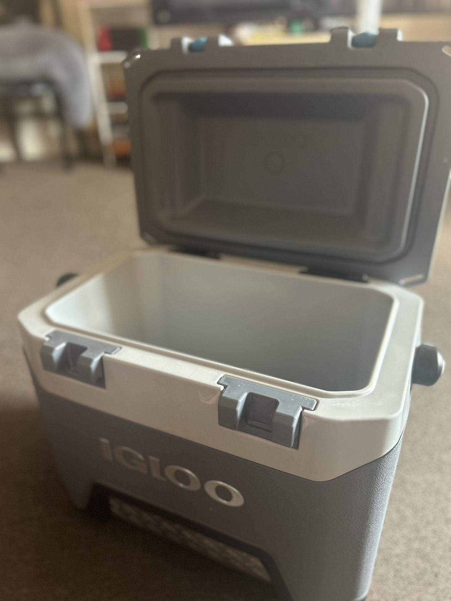 Igloo Cooler 