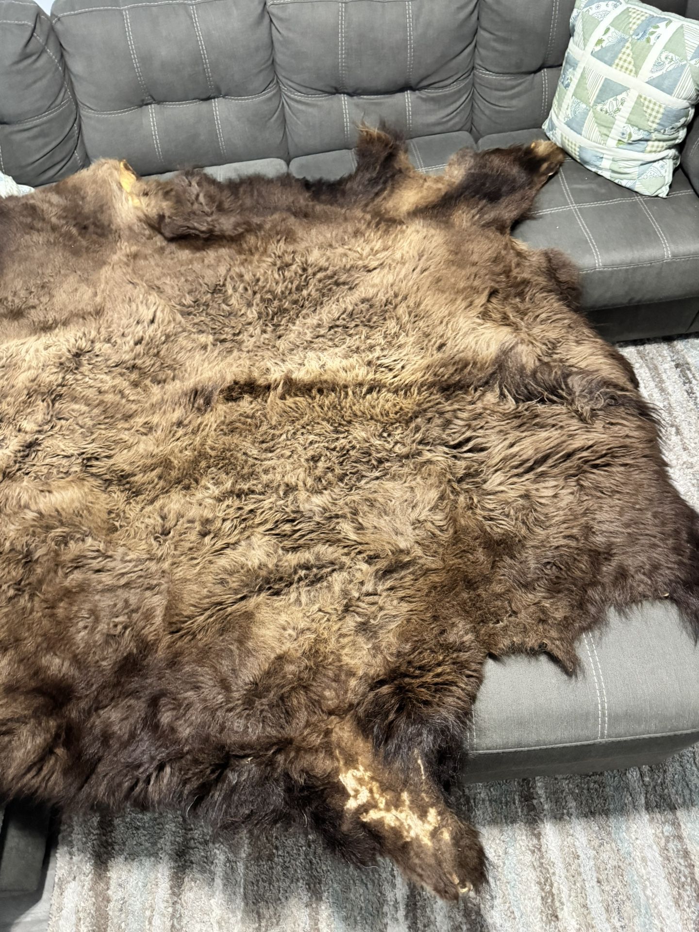 Buffalo Hide-75x77
